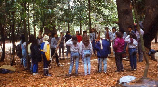 Foto - img_carrusel/gFoto-058.jpg